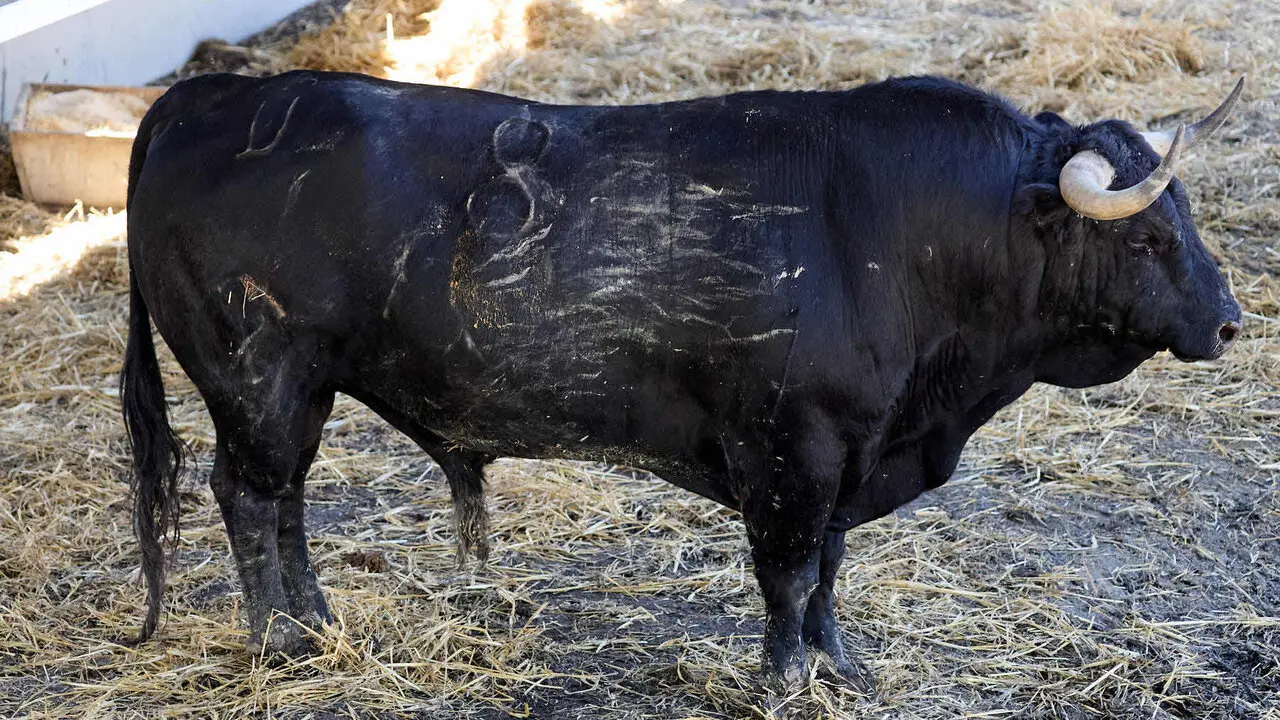 Toros de la ganader&iacute;a de Victoriano del R&iacute;o (9 de julio). I&Ntilde;IGO ALZUGARAY