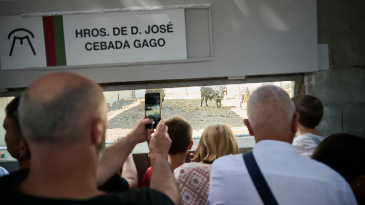 Los Corrales del Gas abren para que el p&uacute;blico pueda ver las ganader&iacute;as de San Ferm&iacute;n 2026. PABLO LASAOSA