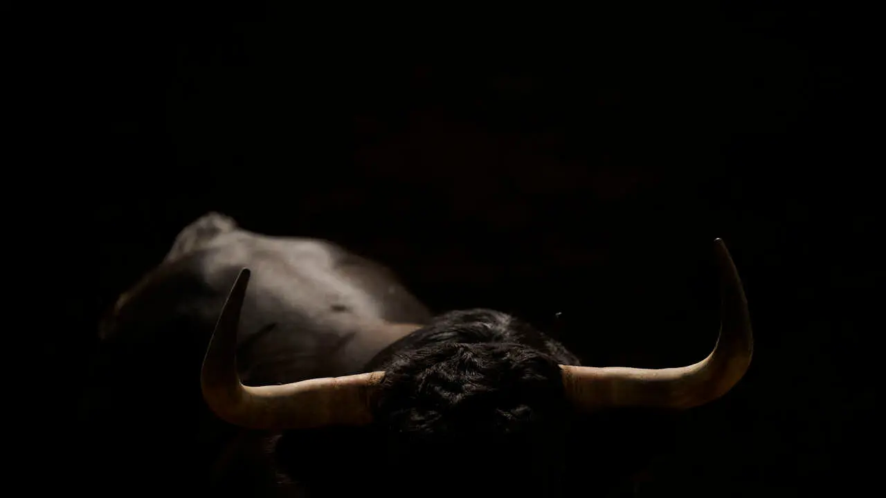 Toros de la ganader&iacute;a de Jandilla en los Corrales del Gas de Pamplona para San Ferm&iacute;n 2026. PABLO LASAOSA