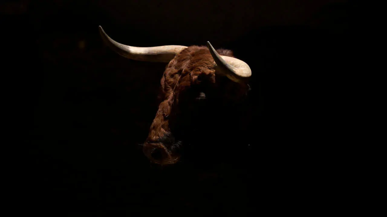 Toros de la ganader&iacute;a de Jandilla en los Corrales del Gas de Pamplona para San Ferm&iacute;n 2026. PABLO LASAOSA