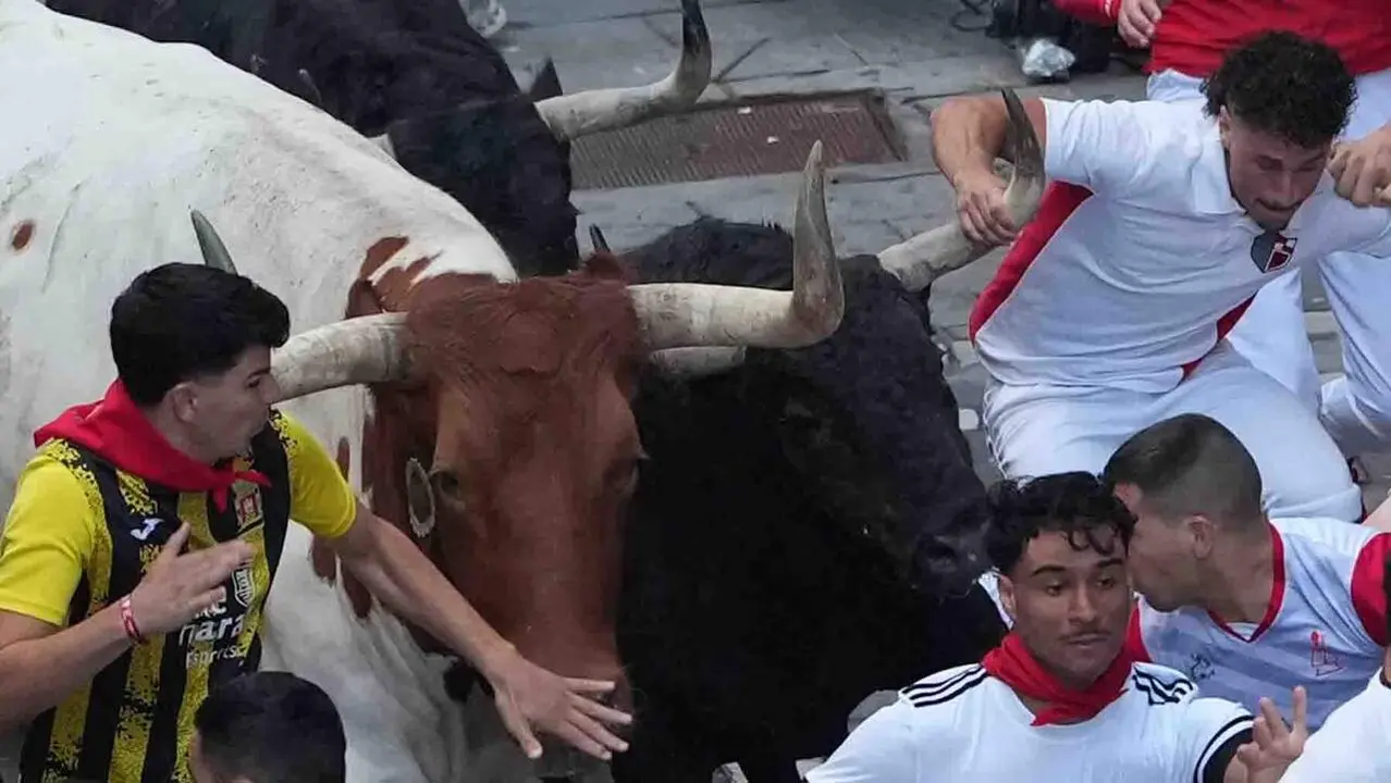Varios  mozos perseguidos por un cabestro y uno de los toros de la ganader&iacute;a gaditana de Fuente Ymbro en el tramo de la Estafeta, durante el primer encierro de los Sanferimes 2026, este martes en Pamplona. EFE/Ainhoa Tejerina