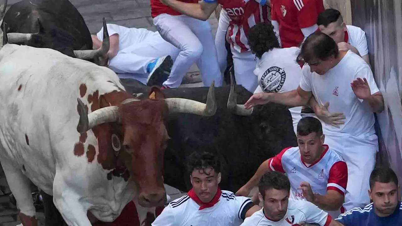 Varios  mozos perseguidos por un cabestro y uno de los toros de la ganader&iacute;a gaditana de Fuente Ymbro en el tramo de la Estafeta, durante el primer encierro de los Sanferimes 2026, este martes en Pamplona. EFE/Ainhoa Tejerina