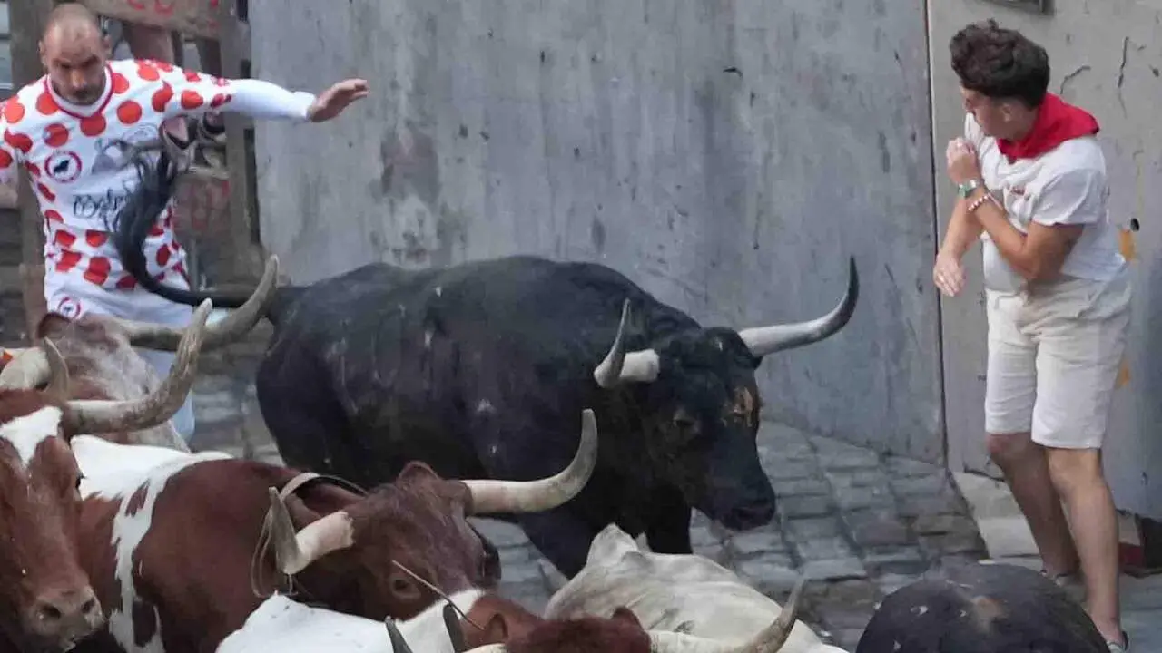 Los toros de la ganader&iacute;a Fuente Ymbro a su paso por la curva de Mercaderes en el primer encierro de los Sanfermines 2026, este martes en Pamplona. EFE/Ainhoa Tejerina