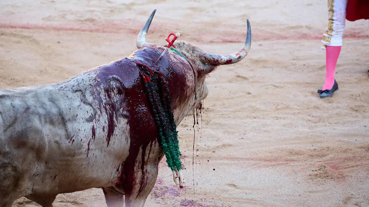 Primera Corrida Feria del Toro de San Ferm&iacute;n 2026 con reses de Fuente Ymbro para los diestros Daniel Luque, V&iacute;ctor Hern&aacute;ndez y Aar&oacute;n Palacio. I&Ntilde;IGO ALZUGARAY