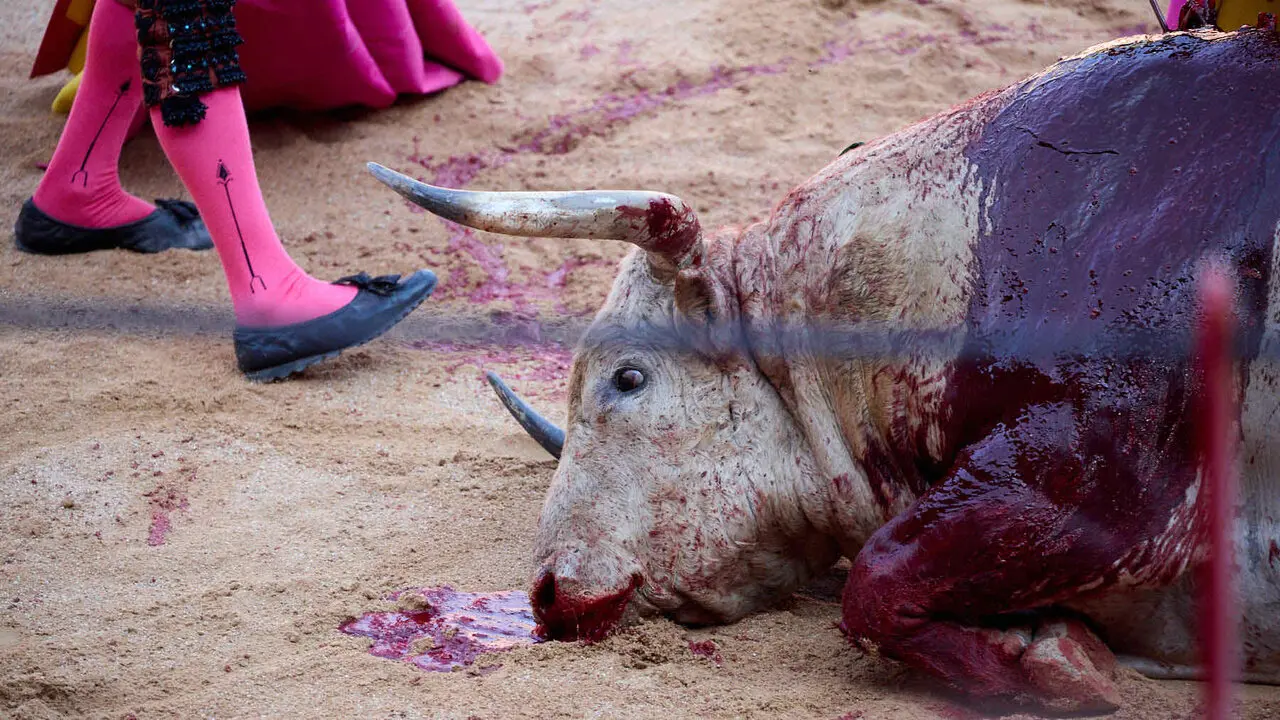 Primera Corrida Feria del Toro de San Ferm&iacute;n 2026 con reses de Fuente Ymbro para los diestros Daniel Luque, V&iacute;ctor Hern&aacute;ndez y Aar&oacute;n Palacio. I&Ntilde;IGO ALZUGARAY