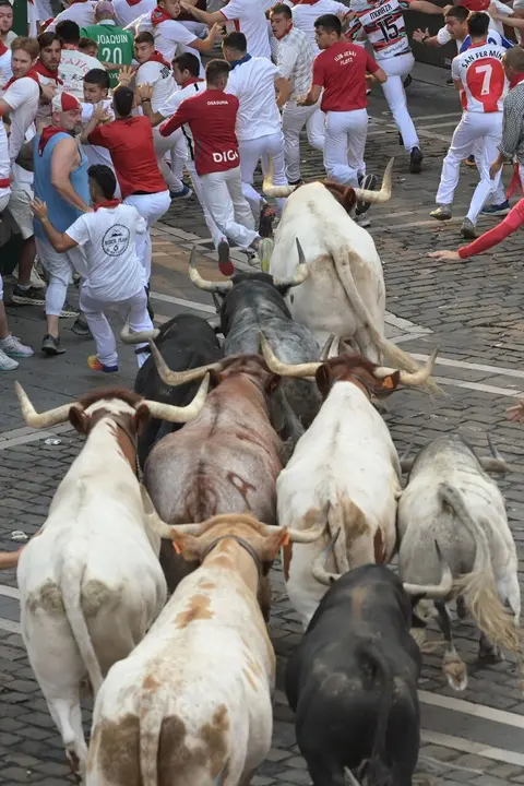 Segundo encierro de las fiestas de San Ferm&iacute;n 2026 con toros de la ganader&iacute;a gaditana de Cebada Gago. EFE