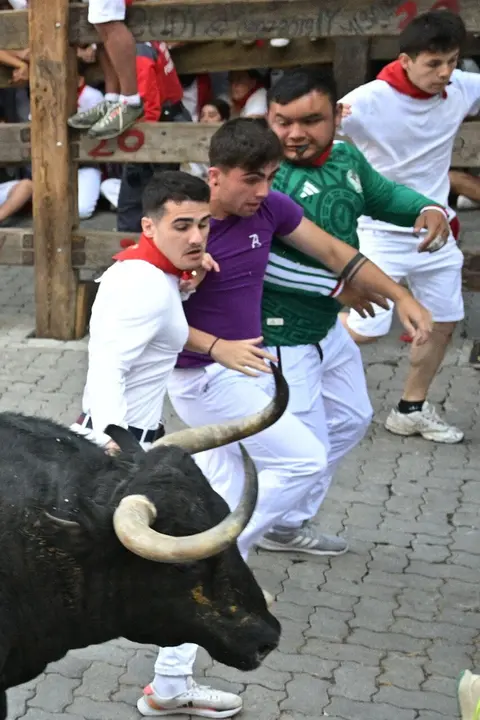 Segundo encierro de las fiestas de San Ferm&iacute;n 2026 con toros de la ganader&iacute;a gaditana de Cebada Gago. EFE