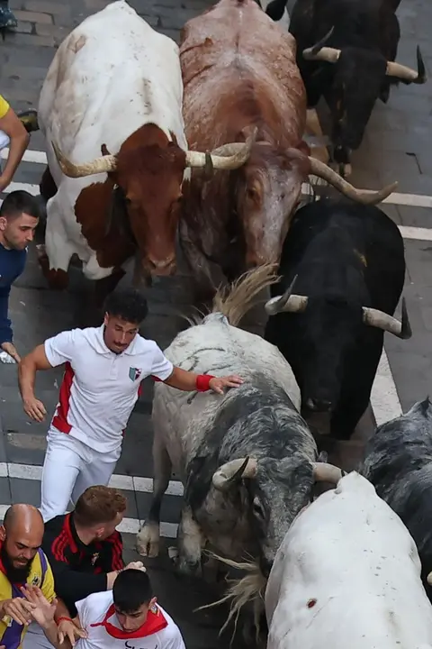Segundo encierro de las fiestas de San Ferm&iacute;n 2026 con toros de la ganader&iacute;a gaditana de Cebada Gago. EFE