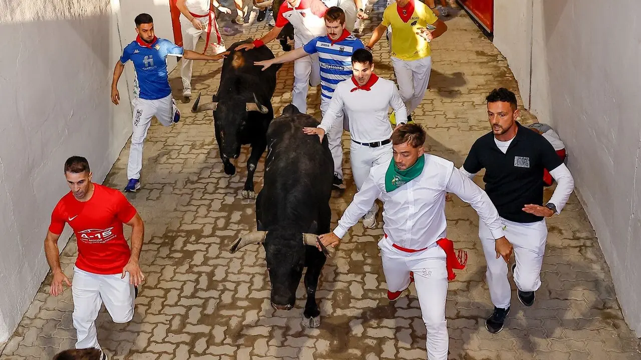 Segundo encierro de las fiestas de San Ferm&iacute;n 2026 con toros de la ganader&iacute;a gaditana de Cebada Gago. EFE