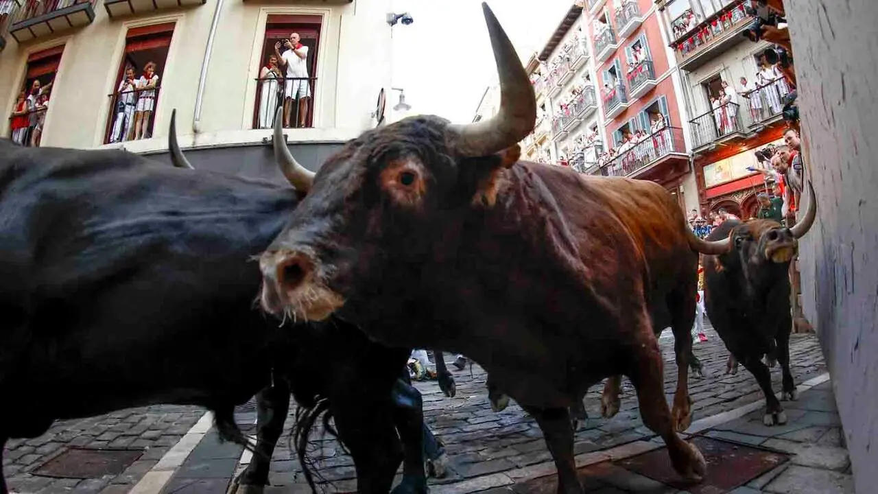 PAMPLONA, 09/07/2026.- Los toros de la ganader&iacute;a madrile&ntilde;a de Victoriano del R&iacute;o a su paso por la curva de Mercaderes en el tercer encierro de los Sanfermines 2026, este jueves en Pamplona. EFE/Jes&uacute;s Diges
