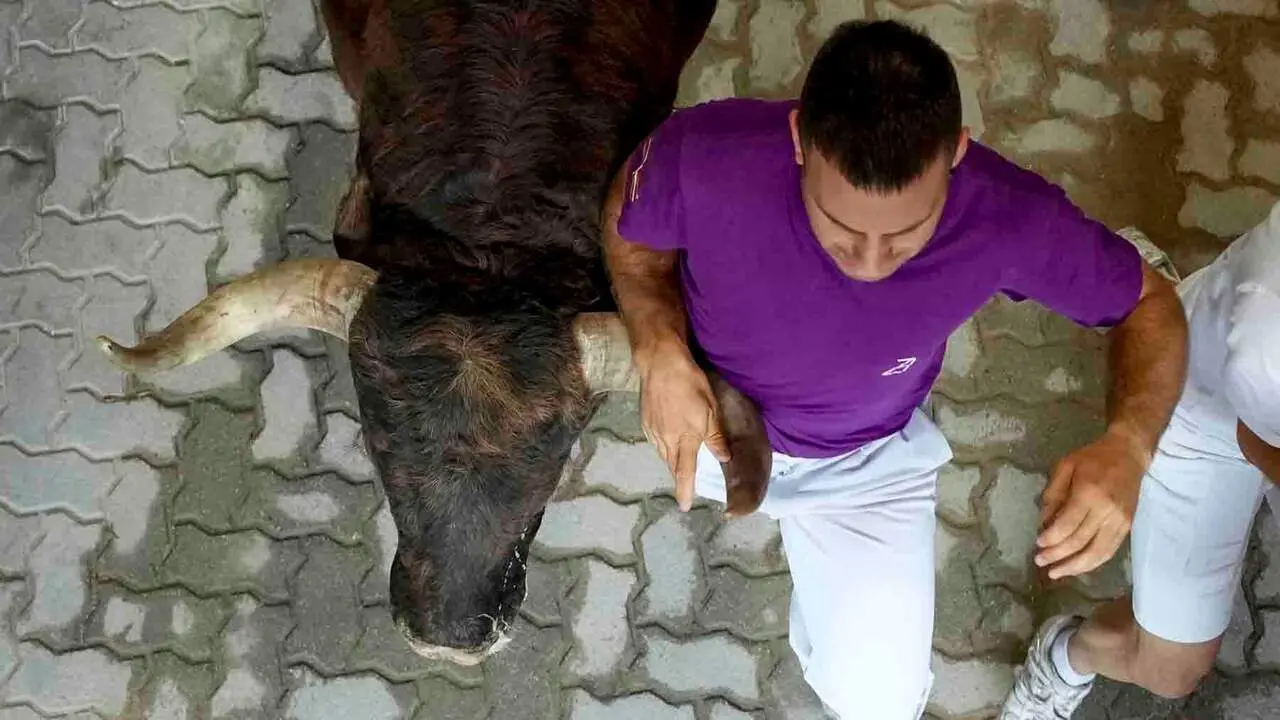 PAMPLONA, 09/07/2026.- Un mozo es perseguido por toros de Victoriano del R&iacute;o en el callej&oacute;n de acceso a la plaza de toros durante el tercer encierro de los Sanfermines, este jueves en Pamplona. EFE/Ainhoa Tejerina