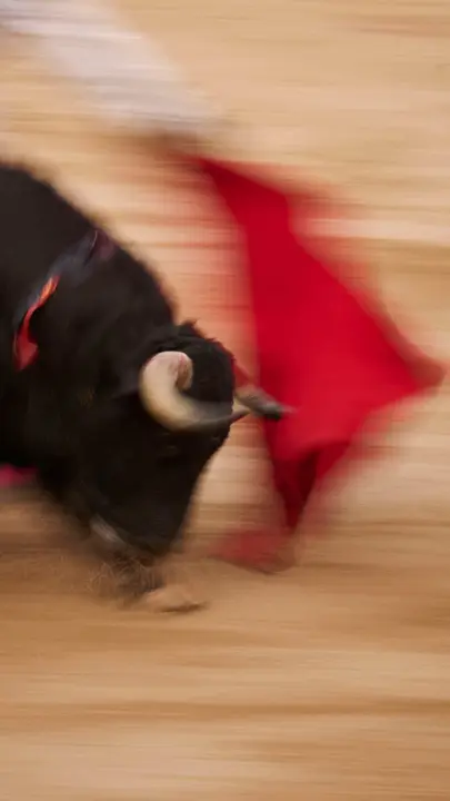 Tercera corrida de la Feria del Toro de Pamplona durante San Ferm&iacute;n 2026 de la ganader&iacute;a Victoriano del R&iacute;o para Alejandro Talavante, Roca Rey y David de Miranda. PABLO LASAOSA