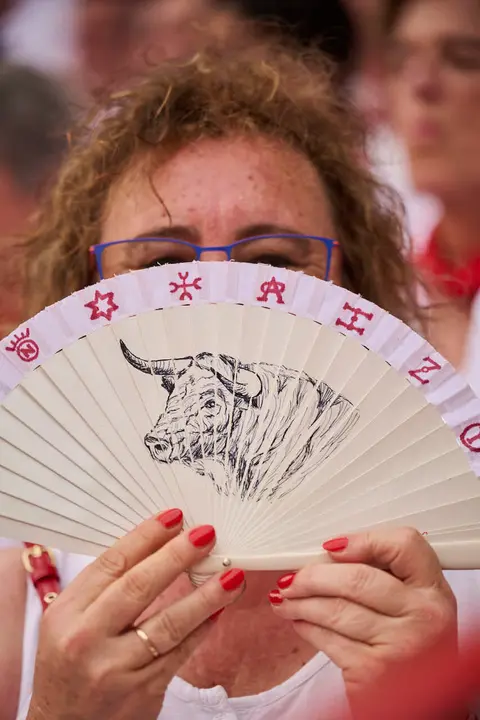 Tercera corrida de la Feria del Toro de Pamplona durante San Ferm&iacute;n 2026 de la ganader&iacute;a Victoriano del R&iacute;o para Alejandro Talavante, Roca Rey y David de Miranda. PABLO LASAOSA