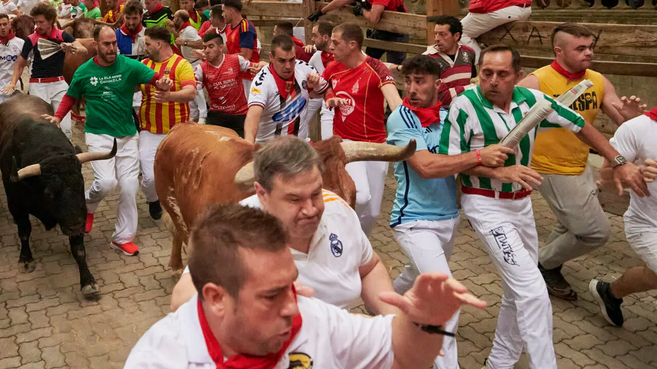 Cuarto encierro de San Ferm&iacute;n 2026 desde la bajada al callej&oacute;n con toros de &Aacute;lvaro N&uacute;&ntilde;ez. IRANZU LARRASOA&Ntilde;A