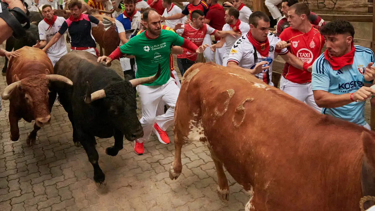 Cuarto encierro de San Ferm&iacute;n 2026 desde la bajada al callej&oacute;n con toros de &Aacute;lvaro N&uacute;&ntilde;ez. IRANZU LARRASOA&Ntilde;A