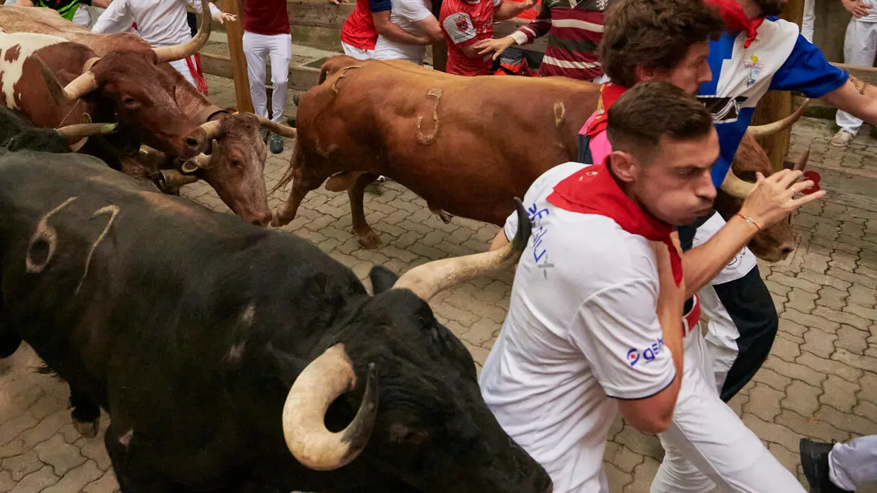 Cuarto encierro de San Ferm&iacute;n 2026 desde la bajada al callej&oacute;n con toros de &Aacute;lvaro N&uacute;&ntilde;ez. IRANZU LARRASOA&Ntilde;A