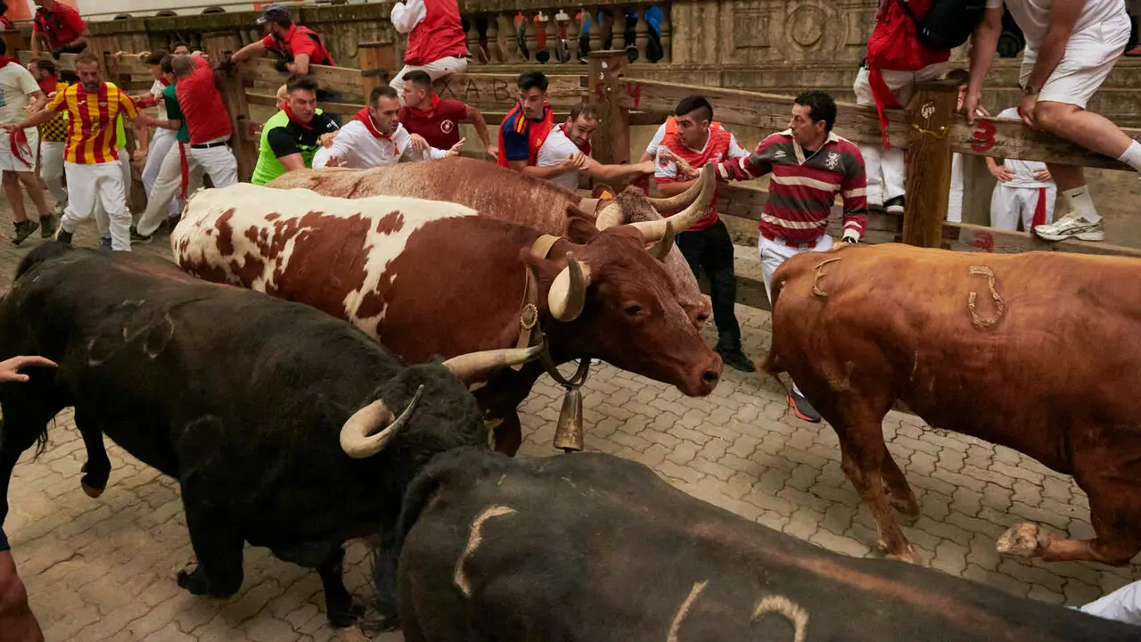 Cuarto encierro de San Ferm&iacute;n 2026 desde la bajada al callej&oacute;n con toros de &Aacute;lvaro N&uacute;&ntilde;ez. IRANZU LARRASOA&Ntilde;A