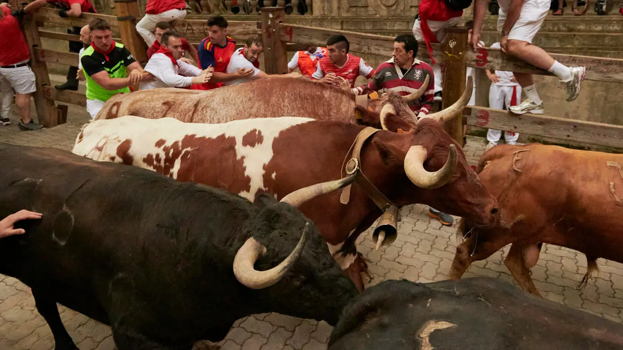 Cuarto encierro de San Ferm&iacute;n 2026 desde la bajada al callej&oacute;n con toros de &Aacute;lvaro N&uacute;&ntilde;ez. IRANZU LARRASOA&Ntilde;A