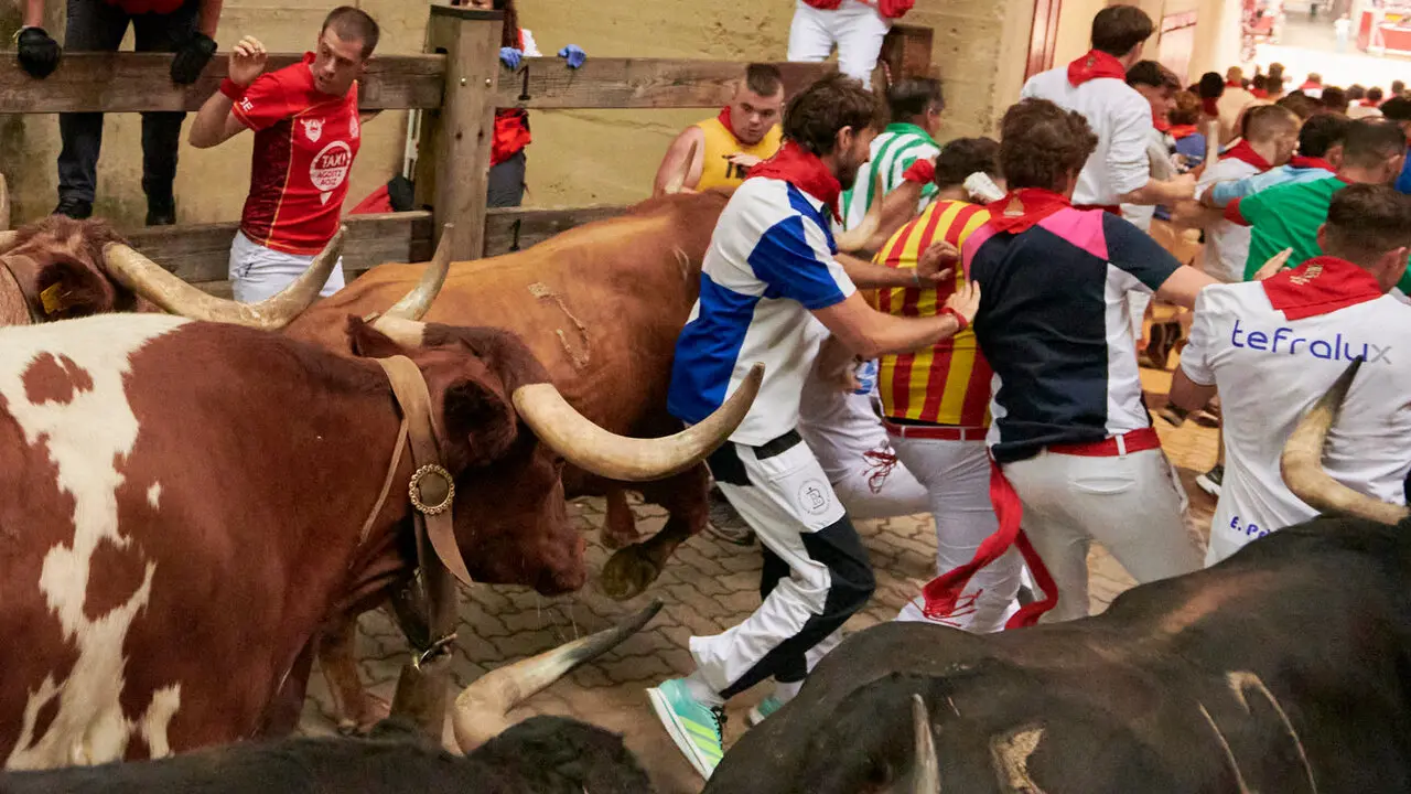 Cuarto encierro de San Ferm&iacute;n 2026 desde la bajada al callej&oacute;n con toros de &Aacute;lvaro N&uacute;&ntilde;ez. IRANZU LARRASOA&Ntilde;A