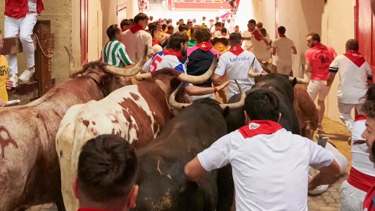Cuarto encierro de San Ferm&iacute;n 2026 desde la bajada al callej&oacute;n con toros de &Aacute;lvaro N&uacute;&ntilde;ez. IRANZU LARRASOA&Ntilde;A