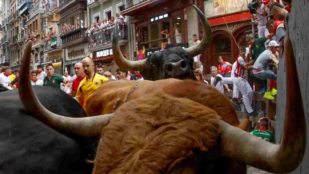 PAMPLONA, 10/07/2026.- Toros de la ganader&iacute;a de &Aacute;lvaro N&uacute;&ntilde;ez en el tramo de Mercaderes durante el cuarto encierro de los Sanfermines 2026 este viernes en Pamplona. EFE/ Jes&uacute;s Diges