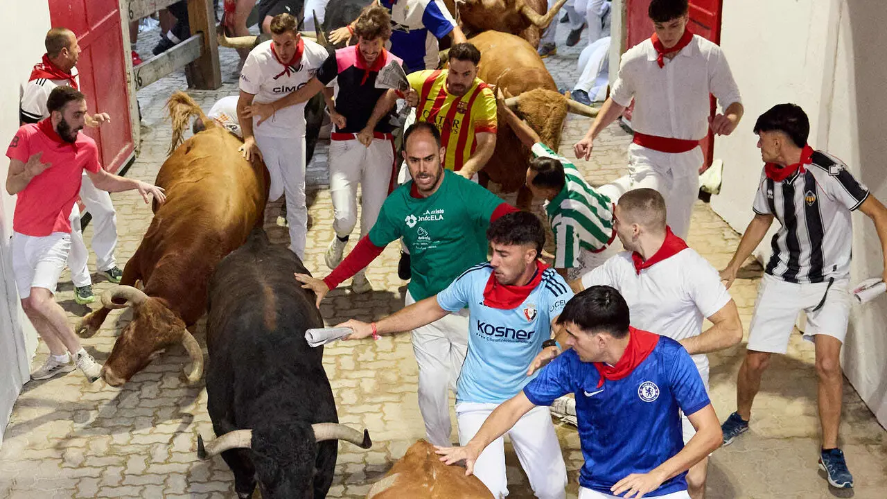Cuarto encierro de San Ferm&iacute;n 2026 con toros de la ganader&iacute;a de &Aacute;lvaro N&uacute;&ntilde;ez en el tramo del callej&oacute;n y entrada a la plaza. I&Ntilde;IGO ALZUGARAY