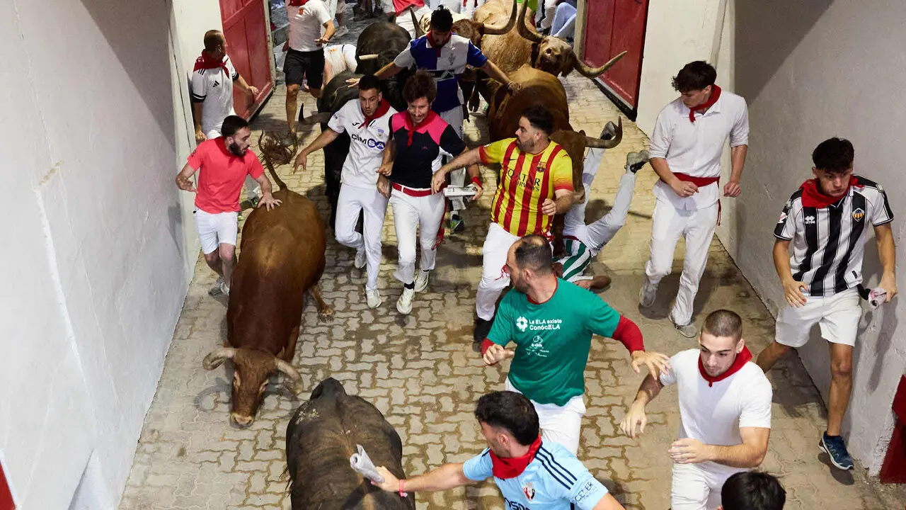 Cuarto encierro de San Ferm&iacute;n 2026 con toros de la ganader&iacute;a de &Aacute;lvaro N&uacute;&ntilde;ez en el tramo del callej&oacute;n y entrada a la plaza. I&Ntilde;IGO ALZUGARAY