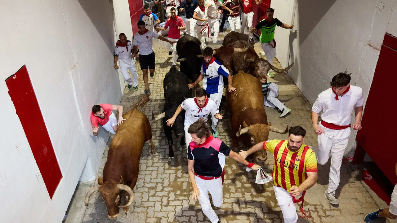 Cuarto encierro de San Ferm&iacute;n 2026 con toros de la ganader&iacute;a de &Aacute;lvaro N&uacute;&ntilde;ez en el tramo del callej&oacute;n y entrada a la plaza. I&Ntilde;IGO ALZUGARAY