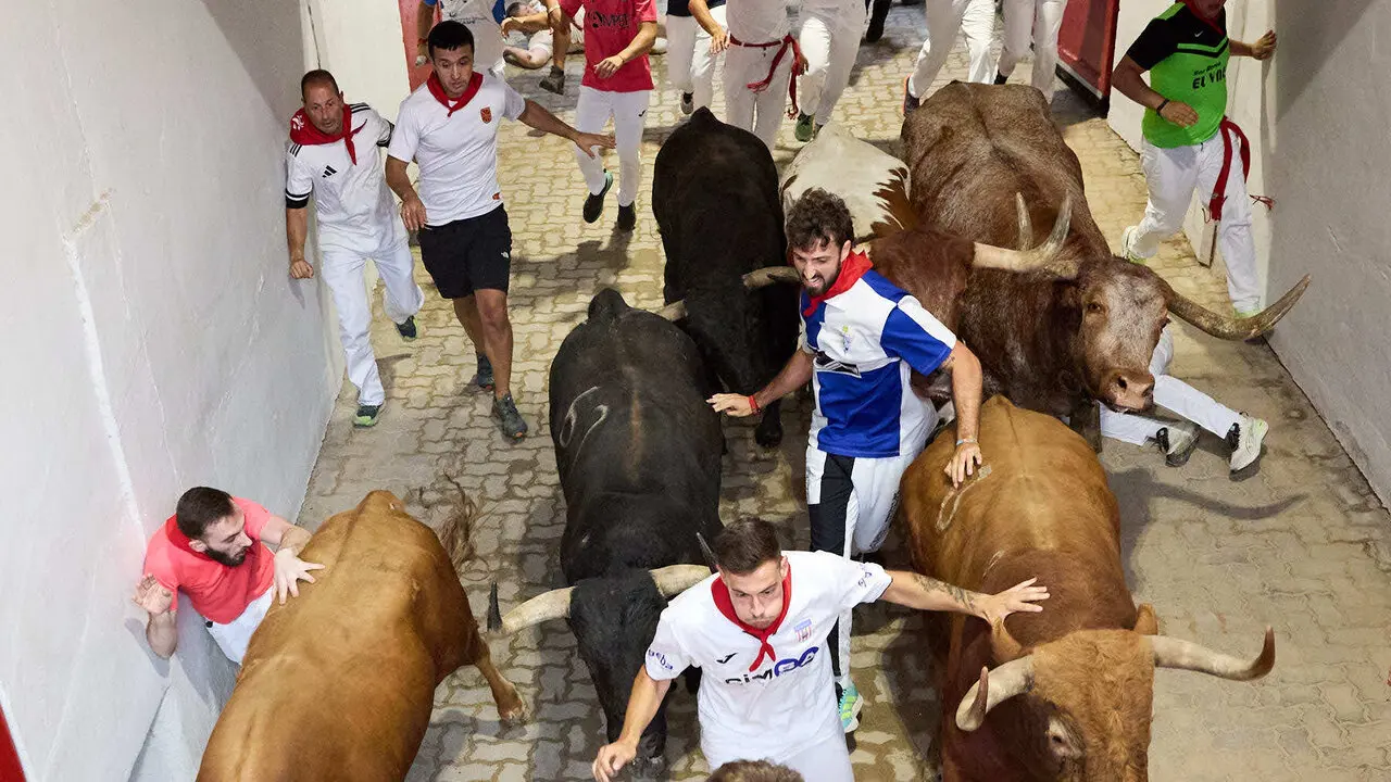 Cuarto encierro de San Ferm&iacute;n 2026 con toros de la ganader&iacute;a de &Aacute;lvaro N&uacute;&ntilde;ez en el tramo del callej&oacute;n y entrada a la plaza. I&Ntilde;IGO ALZUGARAY