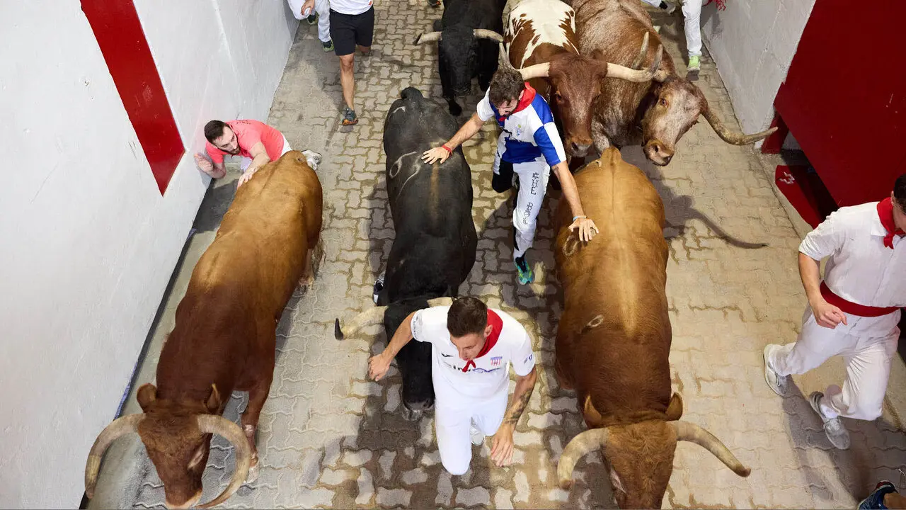 Cuarto encierro de San Ferm&iacute;n 2026 con toros de la ganader&iacute;a de &Aacute;lvaro N&uacute;&ntilde;ez en el tramo del callej&oacute;n y entrada a la plaza. I&Ntilde;IGO ALZUGARAY