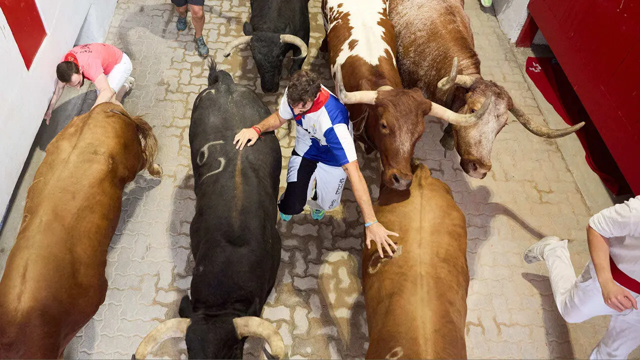 Cuarto encierro de San Ferm&iacute;n 2026 con toros de la ganader&iacute;a de &Aacute;lvaro N&uacute;&ntilde;ez en el tramo del callej&oacute;n y entrada a la plaza. I&Ntilde;IGO ALZUGARAY