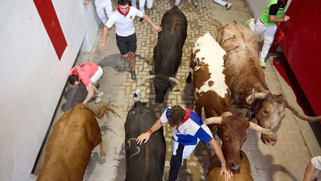 Cuarto encierro de San Ferm&iacute;n 2026 con toros de la ganader&iacute;a de &Aacute;lvaro N&uacute;&ntilde;ez en el tramo del callej&oacute;n y entrada a la plaza. I&Ntilde;IGO ALZUGARAY