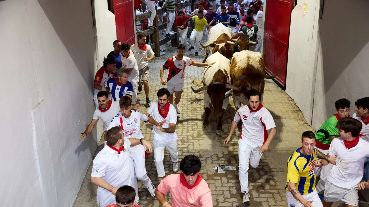 Cuarto encierro de San Ferm&iacute;n 2026 con toros de la ganader&iacute;a de &Aacute;lvaro N&uacute;&ntilde;ez en el tramo del callej&oacute;n y entrada a la plaza. I&Ntilde;IGO ALZUGARAY
