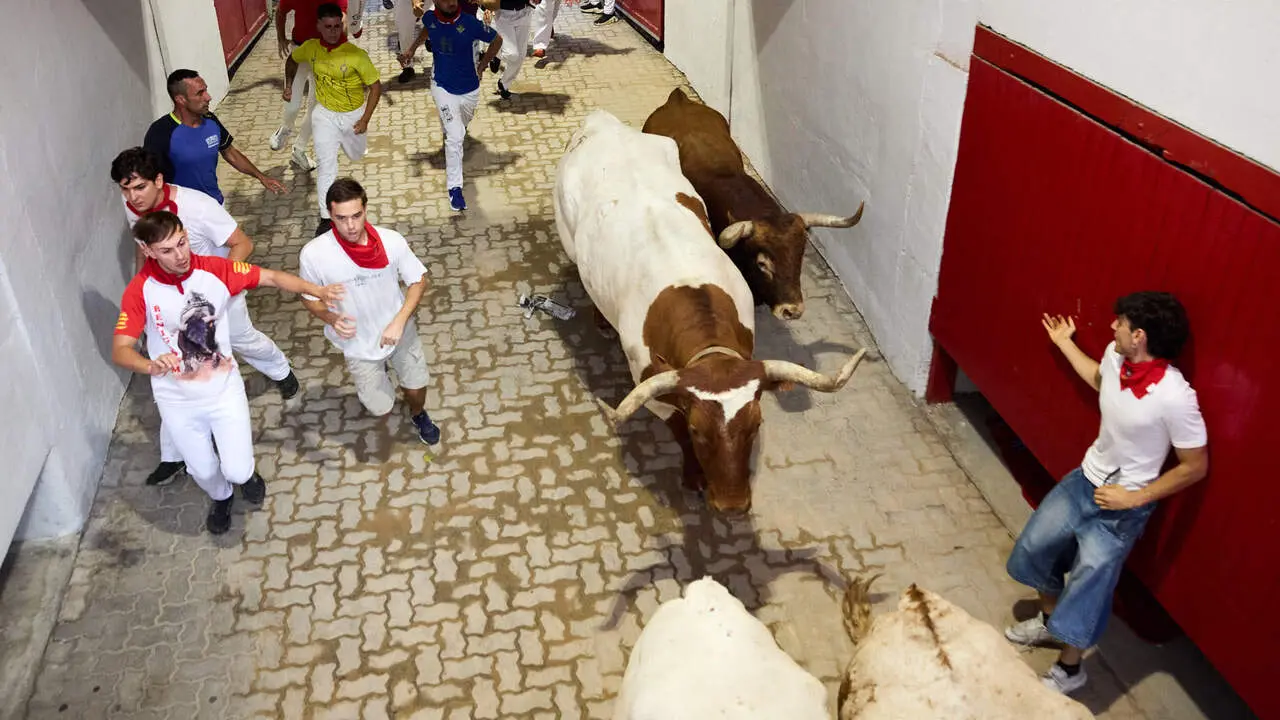 Cuarto encierro de San Ferm&iacute;n 2026 con toros de la ganader&iacute;a de &Aacute;lvaro N&uacute;&ntilde;ez en el tramo del callej&oacute;n y entrada a la plaza. I&Ntilde;IGO ALZUGARAY