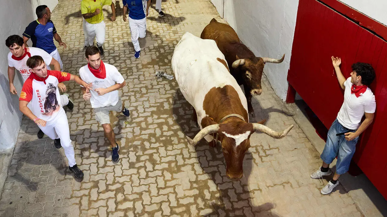 Cuarto encierro de San Ferm&iacute;n 2026 con toros de la ganader&iacute;a de &Aacute;lvaro N&uacute;&ntilde;ez en el tramo del callej&oacute;n y entrada a la plaza. I&Ntilde;IGO ALZUGARAY