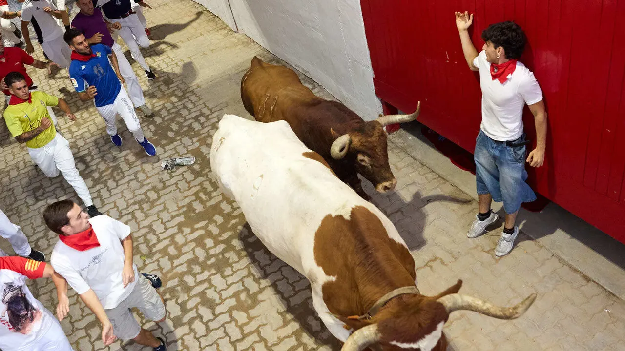 Cuarto encierro de San Ferm&iacute;n 2026 con toros de la ganader&iacute;a de &Aacute;lvaro N&uacute;&ntilde;ez en el tramo del callej&oacute;n y entrada a la plaza. I&Ntilde;IGO ALZUGARAY