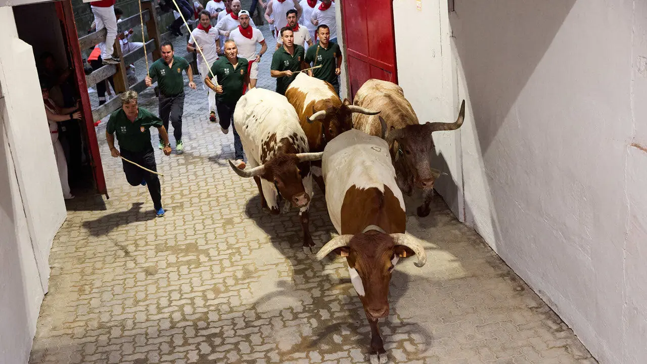Cuarto encierro de San Ferm&iacute;n 2026 con toros de la ganader&iacute;a de &Aacute;lvaro N&uacute;&ntilde;ez en el tramo del callej&oacute;n y entrada a la plaza. I&Ntilde;IGO ALZUGARAY