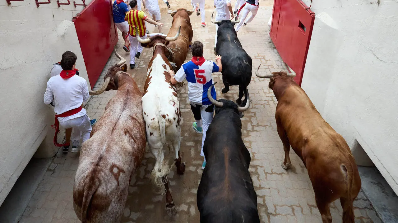 Cuarto encierro de San Ferm&iacute;n 2026 con toros de la ganader&iacute;a de &Aacute;lvaro N&uacute;&ntilde;ez en el tramo del callej&oacute;n y entrada a la plaza. I&Ntilde;IGO ALZUGARAY