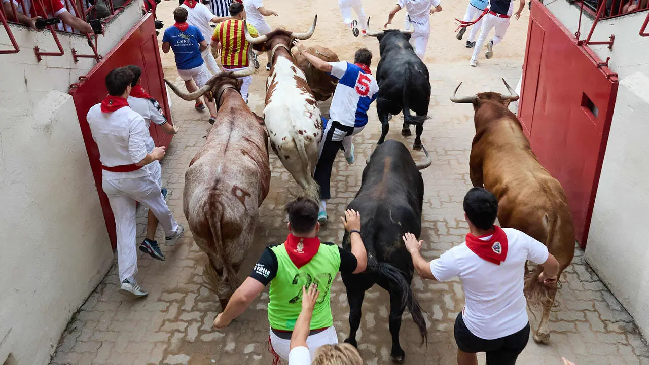 Cuarto encierro de San Ferm&iacute;n 2026 con toros de la ganader&iacute;a de &Aacute;lvaro N&uacute;&ntilde;ez en el tramo del callej&oacute;n y entrada a la plaza. I&Ntilde;IGO ALZUGARAY