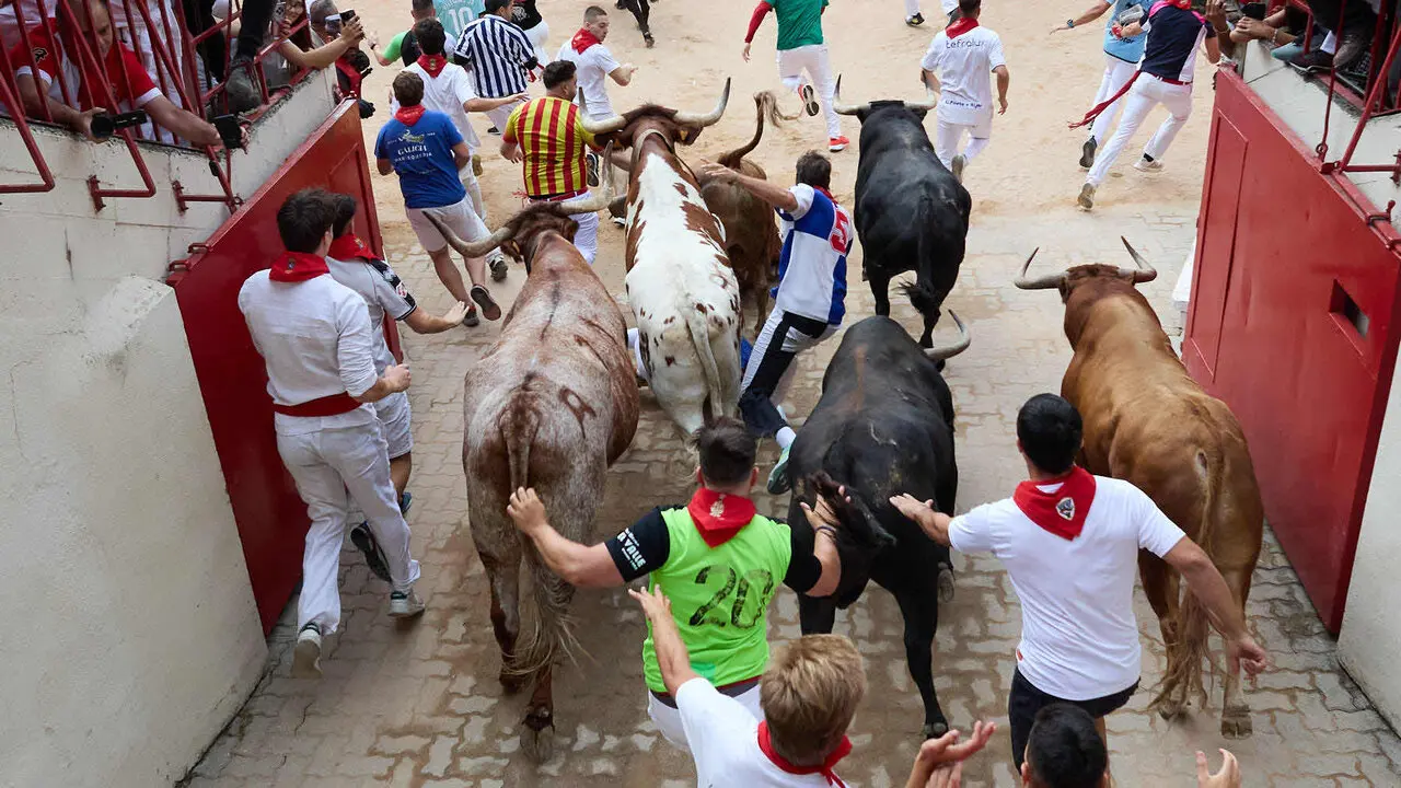 Cuarto encierro de San Ferm&iacute;n 2026 con toros de la ganader&iacute;a de &Aacute;lvaro N&uacute;&ntilde;ez en el tramo del callej&oacute;n y entrada a la plaza. I&Ntilde;IGO ALZUGARAY