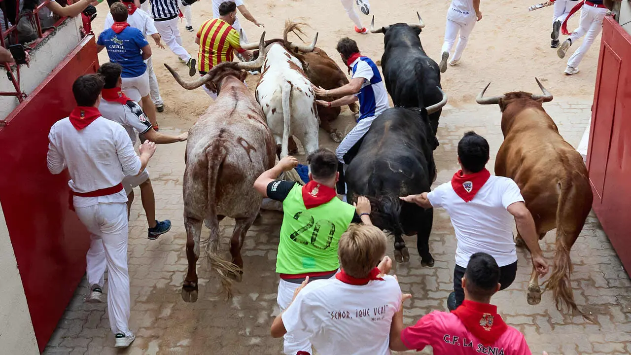 Cuarto encierro de San Ferm&iacute;n 2026 con toros de la ganader&iacute;a de &Aacute;lvaro N&uacute;&ntilde;ez en el tramo del callej&oacute;n y entrada a la plaza. I&Ntilde;IGO ALZUGARAY