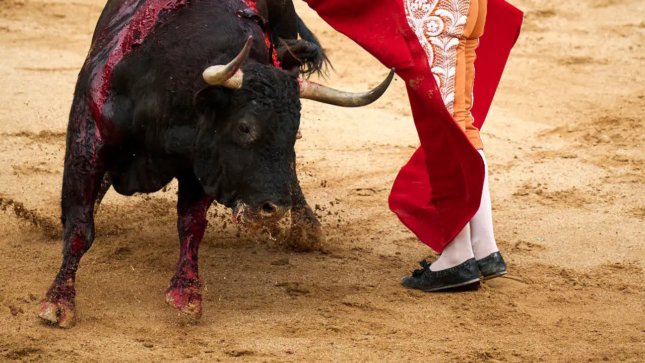 Cuarta corrida de la Feria del Toro 2026 con toros de la ganader&iacute;a de &Aacute;lvaro N&uacute;&ntilde;ez para Morante de la Puebla, Borja Jim&eacute;nez y Pablo Aguado. PABLO LASAOSA