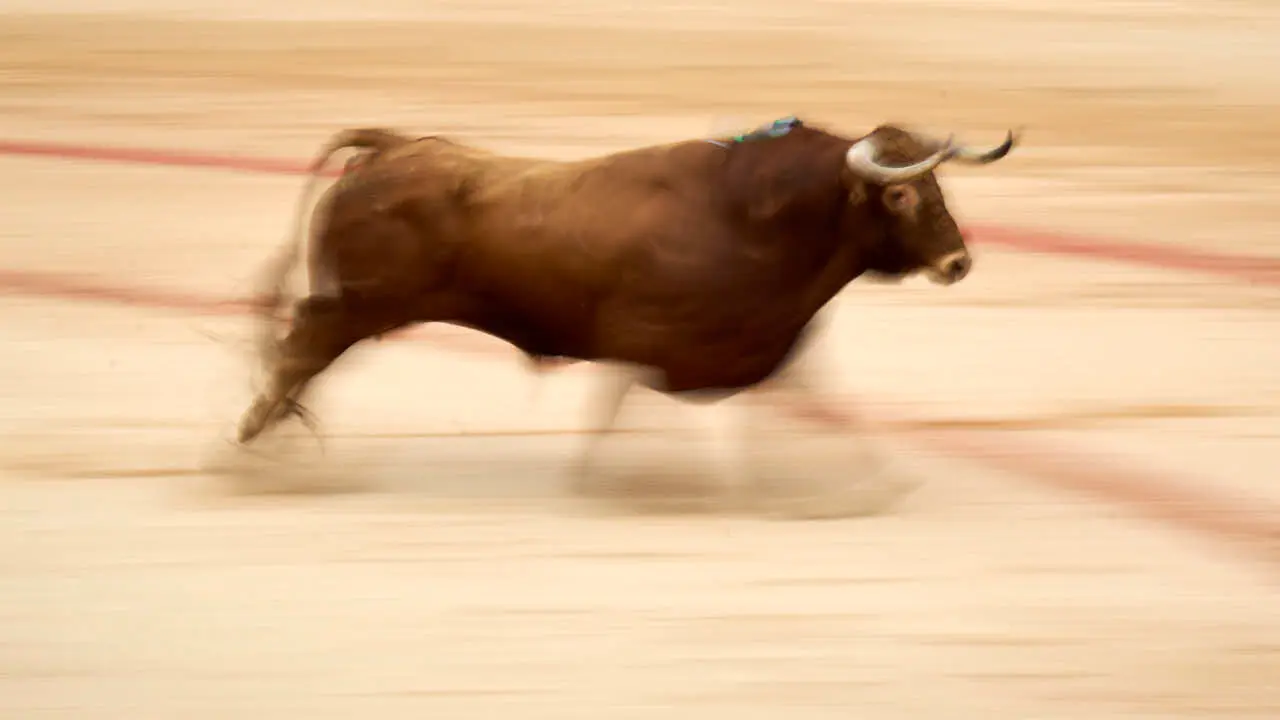 Cuarta corrida de la Feria del Toro 2026 con toros de la ganader&iacute;a de &Aacute;lvaro N&uacute;&ntilde;ez para Morante de la Puebla, Borja Jim&eacute;nez y Pablo Aguado. PABLO LASAOSA