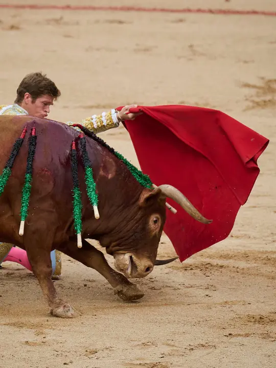 Cuarta corrida de la Feria del Toro 2026 con toros de la ganader&iacute;a de &Aacute;lvaro N&uacute;&ntilde;ez para Morante de la Puebla, Borja Jim&eacute;nez y Pablo Aguado. PABLO LASAOSA