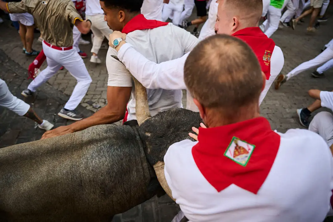 Quinto encierro de San Ferm&iacute;n 2026 con toros de Jos&eacute; Escolar en la curva de Telef&oacute;nica. PABLO LASAOSA