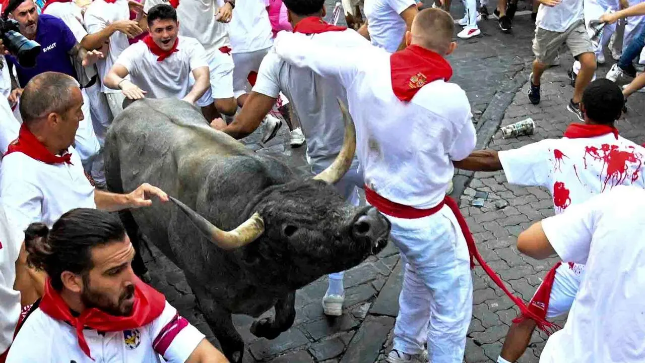 Los mozos corren ante los toros de la ganader&iacute;a de Jos&eacute; Escolar Gil durante el quinto encierro de los Sanfermines 2026 con este s&aacute;bado en Pamplona. EFE/ Daniel Fern&aacute;ndez P&eacute;rez