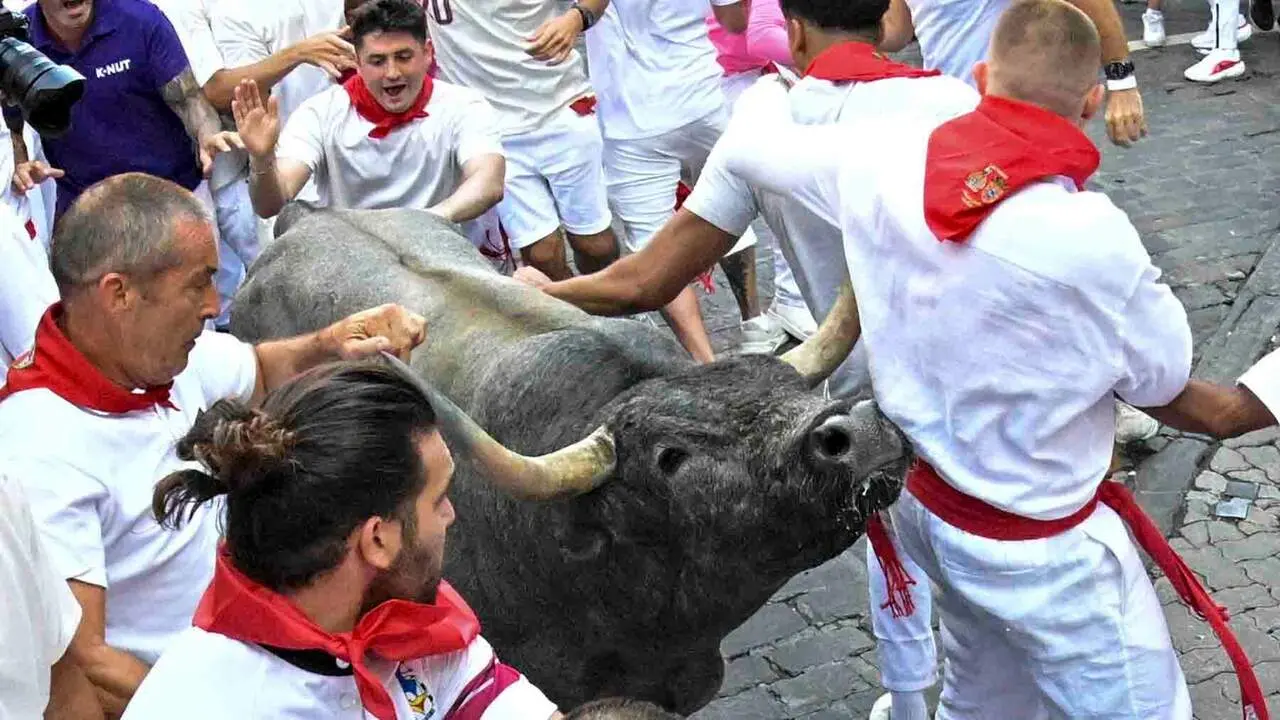 Un mozo es corneado al paso de los toros de la ganader&iacute;a de Jos&eacute; Escolar Gil durante el quinto encierro de los Sanfermines 2026 con este s&aacute;bado en Pamplona. EFE/ Daniel Fern&aacute;ndez P&eacute;rez