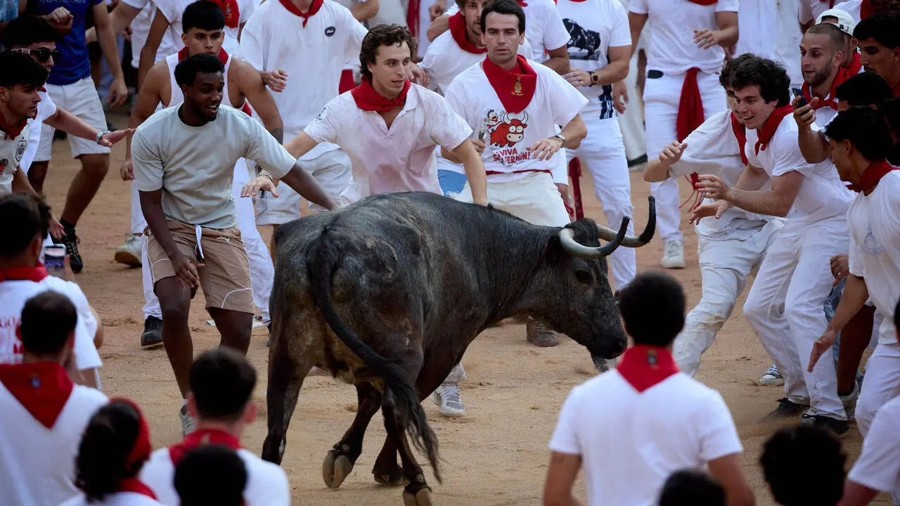 Suelta de vaquillas en la Plaza de Toros de Pamplona tras el quinto de San Ferm&iacute;n 2026. I&Ntilde;IGO ALZUGARAY