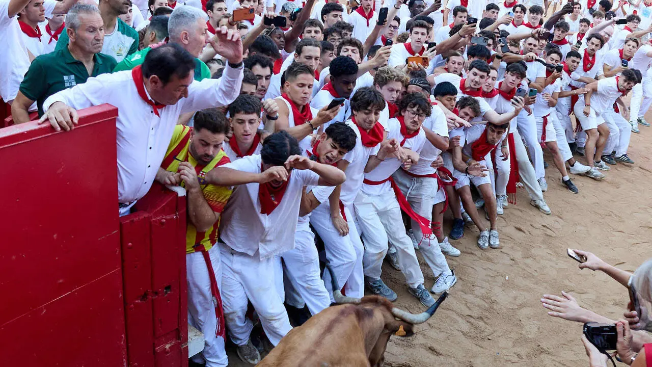 Suelta de vaquillas en la Plaza de Toros de Pamplona tras el quinto de San Ferm&iacute;n 2026. I&Ntilde;IGO ALZUGARAY