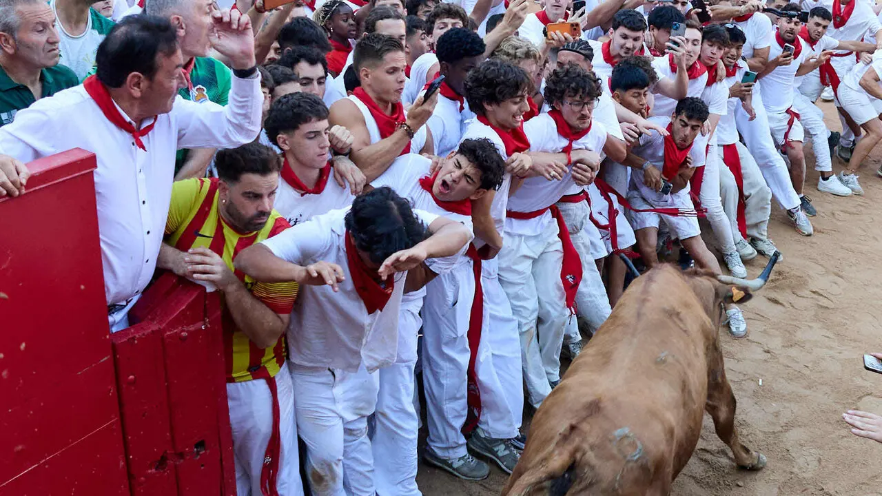 Suelta de vaquillas en la Plaza de Toros de Pamplona tras el quinto de San Ferm&iacute;n 2026. I&Ntilde;IGO ALZUGARAY